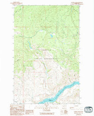 Hopkins Canyon Washington Historical topographic map, 1:24000 scale, 7.5 X 7.5 Minute, Year 1989