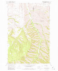 Hopkins Ridge Washington Historical topographic map, 1:24000 scale, 7.5 X 7.5 Minute, Year 1967