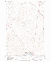 Horn Rapids Dam Washington Historical topographic map, 1:24000 scale, 7.5 X 7.5 Minute, Year 1977
