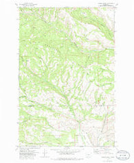 Hudson Creek Washington Historical topographic map, 1:24000 scale, 7.5 X 7.5 Minute, Year 1971