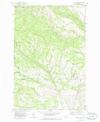 Hudson Creek Washington Historical topographic map, 1:24000 scale, 7.5 X 7.5 Minute, Year 1971