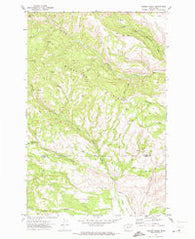 Hudson Creek Washington Historical topographic map, 1:24000 scale, 7.5 X 7.5 Minute, Year 1971