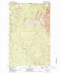 Hurley Peak Washington Historical topographic map, 1:24000 scale, 7.5 X 7.5 Minute, Year 1981