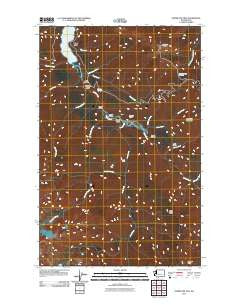 Hurricane Hill Washington Historical topographic map, 1:24000 scale, 7.5 X 7.5 Minute, Year 2011
