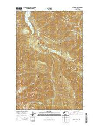 Hurricane Hill Washington Current topographic map, 1:24000 scale, 7.5 X 7.5 Minute, Year 2014