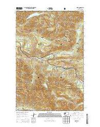 Index Washington Current topographic map, 1:24000 scale, 7.5 X 7.5 Minute, Year 2014