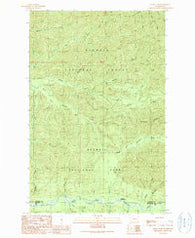 Indian Pass Washington Historical topographic map, 1:24000 scale, 7.5 X 7.5 Minute, Year 1990
