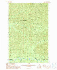 Indian Pass Washington Historical topographic map, 1:24000 scale, 7.5 X 7.5 Minute, Year 1990