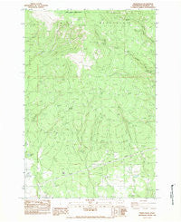 Indian Rock Washington Historical topographic map, 1:24000 scale, 7.5 X 7.5 Minute, Year 1983