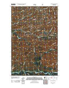 Indian Pass Washington Historical topographic map, 1:24000 scale, 7.5 X 7.5 Minute, Year 2011