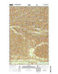 Indian Pass Washington Current topographic map, 1:24000 scale, 7.5 X 7.5 Minute, Year 2014