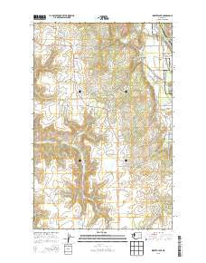 Inkster Lake Washington Current topographic map, 1:24000 scale, 7.5 X 7.5 Minute, Year 2013