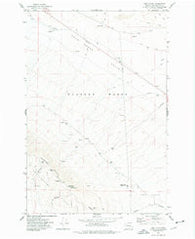Iowa Flats Washington Historical topographic map, 1:24000 scale, 7.5 X 7.5 Minute, Year 1974