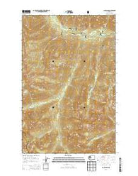 Jack Ridge Washington Current topographic map, 1:24000 scale, 7.5 X 7.5 Minute, Year 2014
