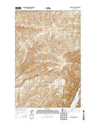 Jameson Lake SE Washington Current topographic map, 1:24000 scale, 7.5 X 7.5 Minute, Year 2014