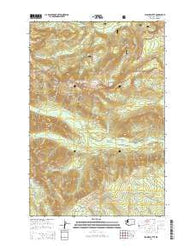 Jennies Butte Washington Current topographic map, 1:24000 scale, 7.5 X 7.5 Minute, Year 2014