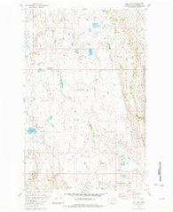 Joe Lake Washington Historical topographic map, 1:24000 scale, 7.5 X 7.5 Minute, Year 1980