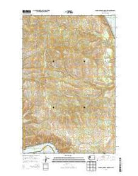 Johnny George Mountain Washington Current topographic map, 1:24000 scale, 7.5 X 7.5 Minute, Year 2013