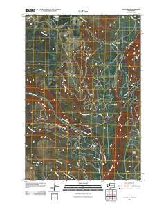 Jungle Butte Washington Historical topographic map, 1:24000 scale, 7.5 X 7.5 Minute, Year 2011