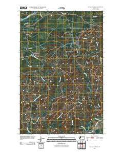 Kalaloch Ridge Washington Historical topographic map, 1:24000 scale, 7.5 X 7.5 Minute, Year 2011