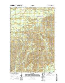 Kalaloch Ridge Washington Current topographic map, 1:24000 scale, 7.5 X 7.5 Minute, Year 2014