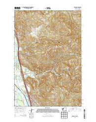 Kalama Washington Current topographic map, 1:24000 scale, 7.5 X 7.5 Minute, Year 2013