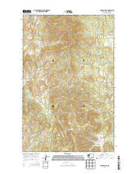 Kentry Ridge Washington Current topographic map, 1:24000 scale, 7.5 X 7.5 Minute, Year 2014