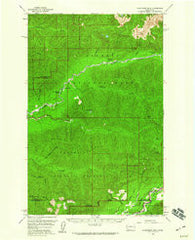 Kloochman Rock Washington Historical topographic map, 1:62500 scale, 15 X 15 Minute, Year 1956