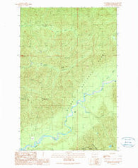 Kloochman Rock Washington Historical topographic map, 1:24000 scale, 7.5 X 7.5 Minute, Year 1990