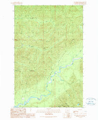 Kloochman Rock Washington Historical topographic map, 1:24000 scale, 7.5 X 7.5 Minute, Year 1990
