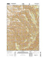 Kooskooskie Washington Current topographic map, 1:24000 scale, 7.5 X 7.5 Minute, Year 2014
