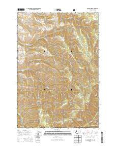 Kooskooskie Washington Current topographic map, 1:24000 scale, 7.5 X 7.5 Minute, Year 2014