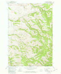 Kooskooskie Washington Historical topographic map, 1:24000 scale, 7.5 X 7.5 Minute, Year 1966