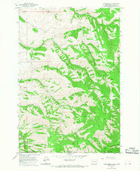 Kooskooskie Washington Historical topographic map, 1:24000 scale, 7.5 X 7.5 Minute, Year 1966