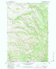 Kooskooskie Washington Historical topographic map, 1:24000 scale, 7.5 X 7.5 Minute, Year 1966