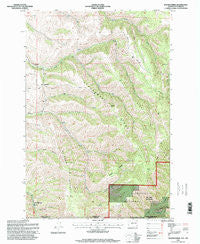 Kooskooskie Washington Historical topographic map, 1:24000 scale, 7.5 X 7.5 Minute, Year 1995