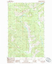 La Fleur Lake Washington Historical topographic map, 1:24000 scale, 7.5 X 7.5 Minute, Year 1985