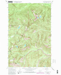 Labyrinth Mtn Washington Historical topographic map, 1:24000 scale, 7.5 X 7.5 Minute, Year 1965