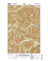 Labyrinth Mountain Washington Current topographic map, 1:24000 scale, 7.5 X 7.5 Minute, Year 2014