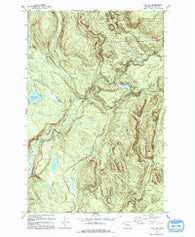 Lake Joy Washington Historical topographic map, 1:24000 scale, 7.5 X 7.5 Minute, Year 1993