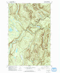 Lake Joy Washington Historical topographic map, 1:24000 scale, 7.5 X 7.5 Minute, Year 1993