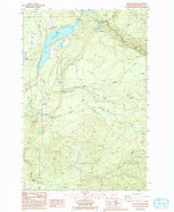 Lake Kapowsin Washington Historical topographic map, 1:24000 scale, 7.5 X 7.5 Minute, Year 1987
