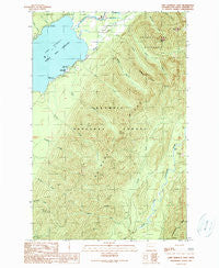 Lake Quinault East Washington Historical topographic map, 1:24000 scale, 7.5 X 7.5 Minute, Year 1990