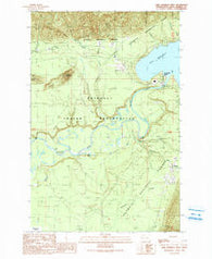 Lake Quinault West Washington Historical topographic map, 1:24000 scale, 7.5 X 7.5 Minute, Year 1990