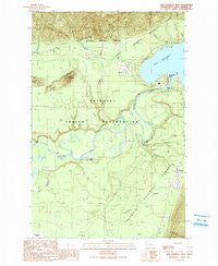 Lake Quinault West Washington Historical topographic map, 1:24000 scale, 7.5 X 7.5 Minute, Year 1990