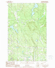 Lake Roesiger Washington Historical topographic map, 1:24000 scale, 7.5 X 7.5 Minute, Year 1989