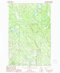 Lake Roesiger Washington Historical topographic map, 1:24000 scale, 7.5 X 7.5 Minute, Year 1989