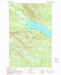 Lake Wenatchee Washington Historical topographic map, 1:24000 scale, 7.5 X 7.5 Minute, Year 1989