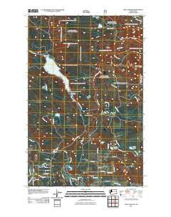 Lake Chaplain Washington Historical topographic map, 1:24000 scale, 7.5 X 7.5 Minute, Year 2011