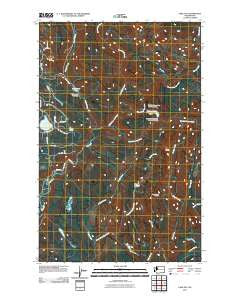 Lake Joy Washington Historical topographic map, 1:24000 scale, 7.5 X 7.5 Minute, Year 2011